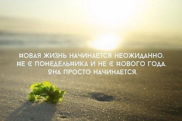 Тату за которые убивают Тату за которые убивают